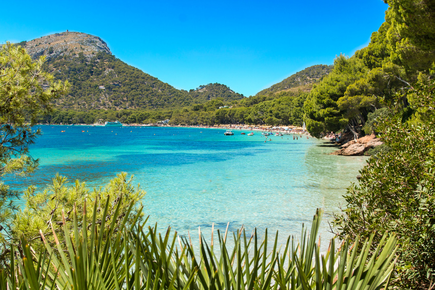 Formentor beach in Palma of Majorca island