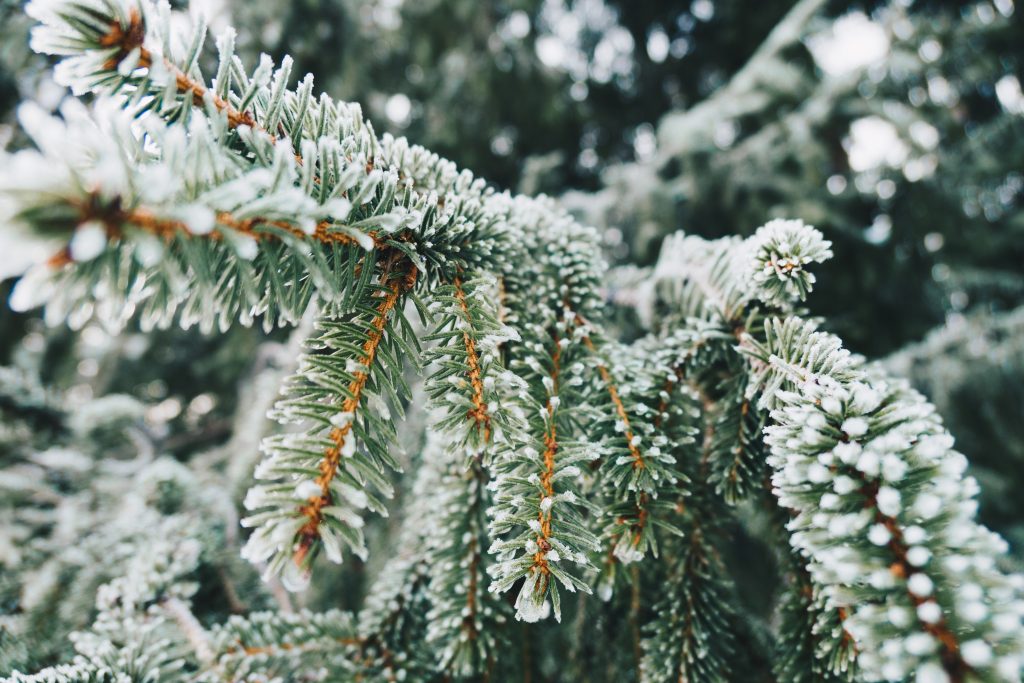 offre de parrainage hiver 2019