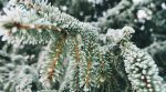 offre de parrainage hiver 2019