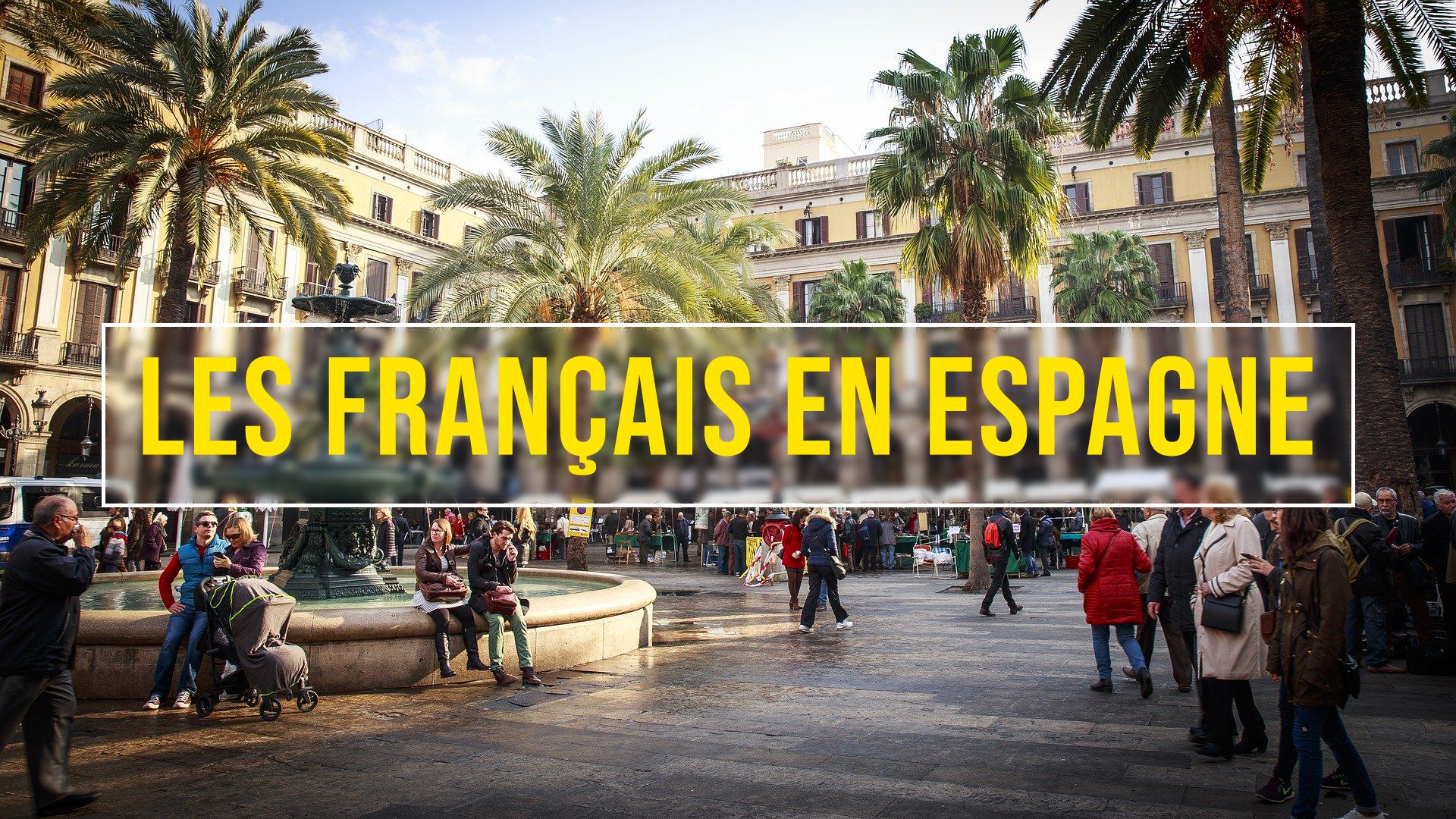 Mise en avant newsletter