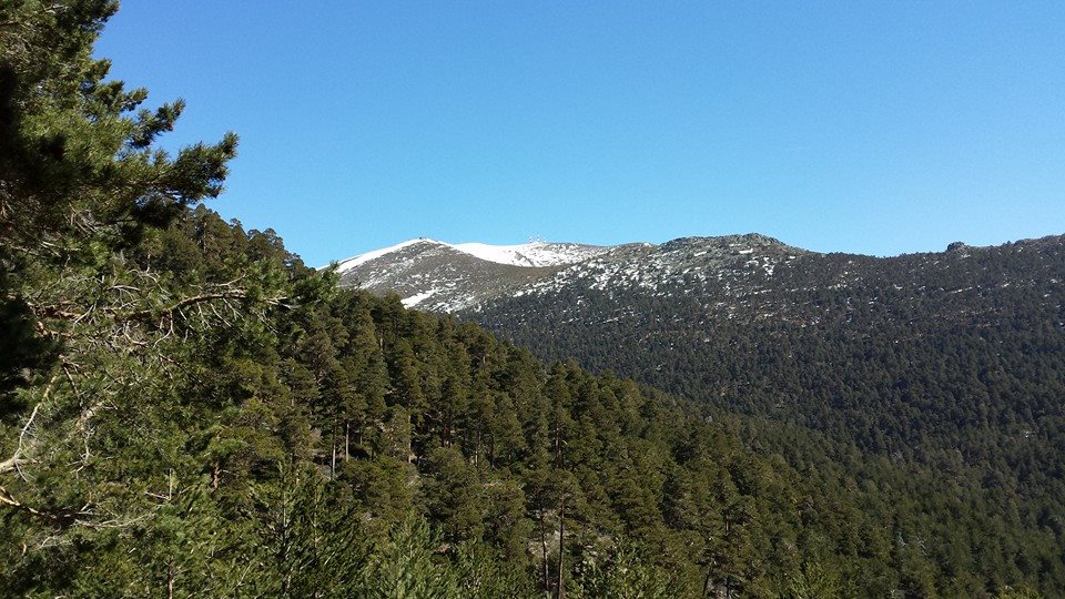 Photo du parc de Sierra Guadarrama