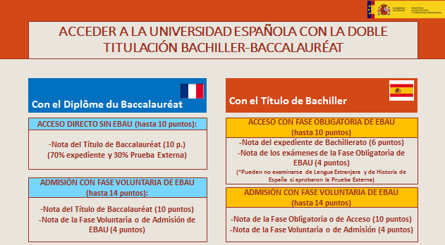 Bachibac université