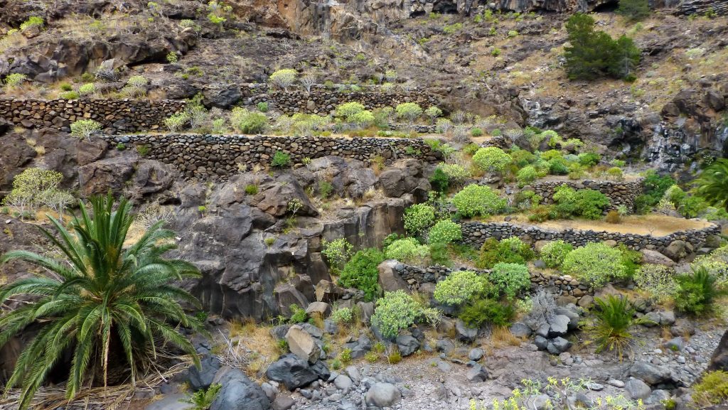 La Réserve de la biosphère de la Gomera