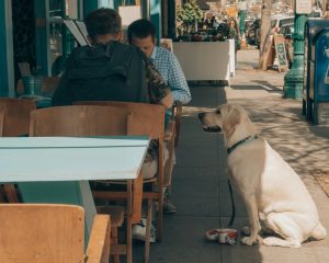 Manger en terrasse en Espagne 