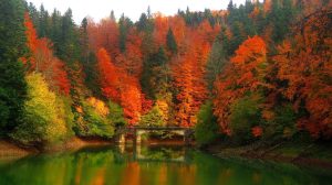 automne en Espagne