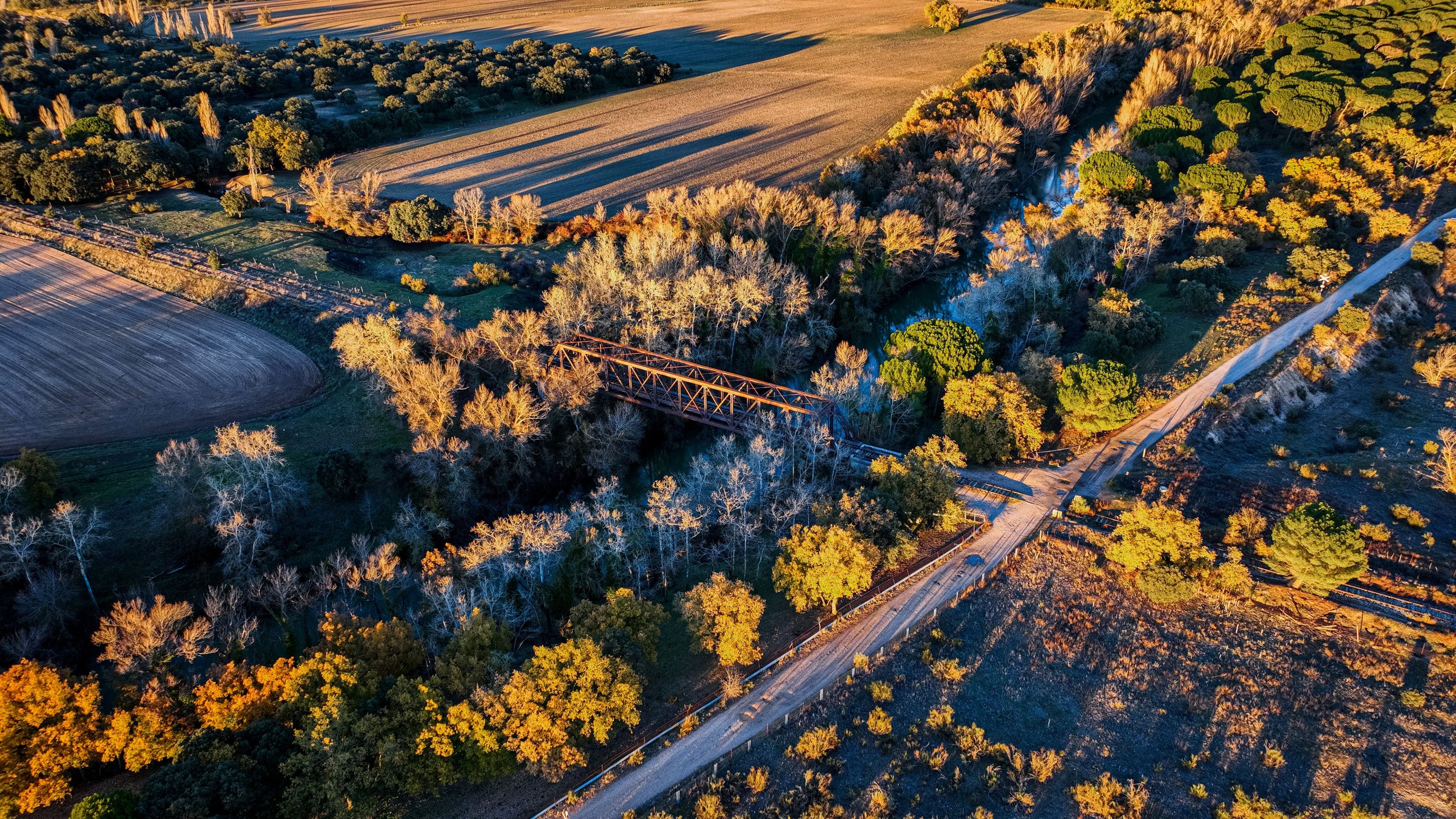 Voyager en train en Espagne : le guide essentiel pour les Français expatriés 7 pexels mike art visual creator photography and video 2159421235 36326402 scaled