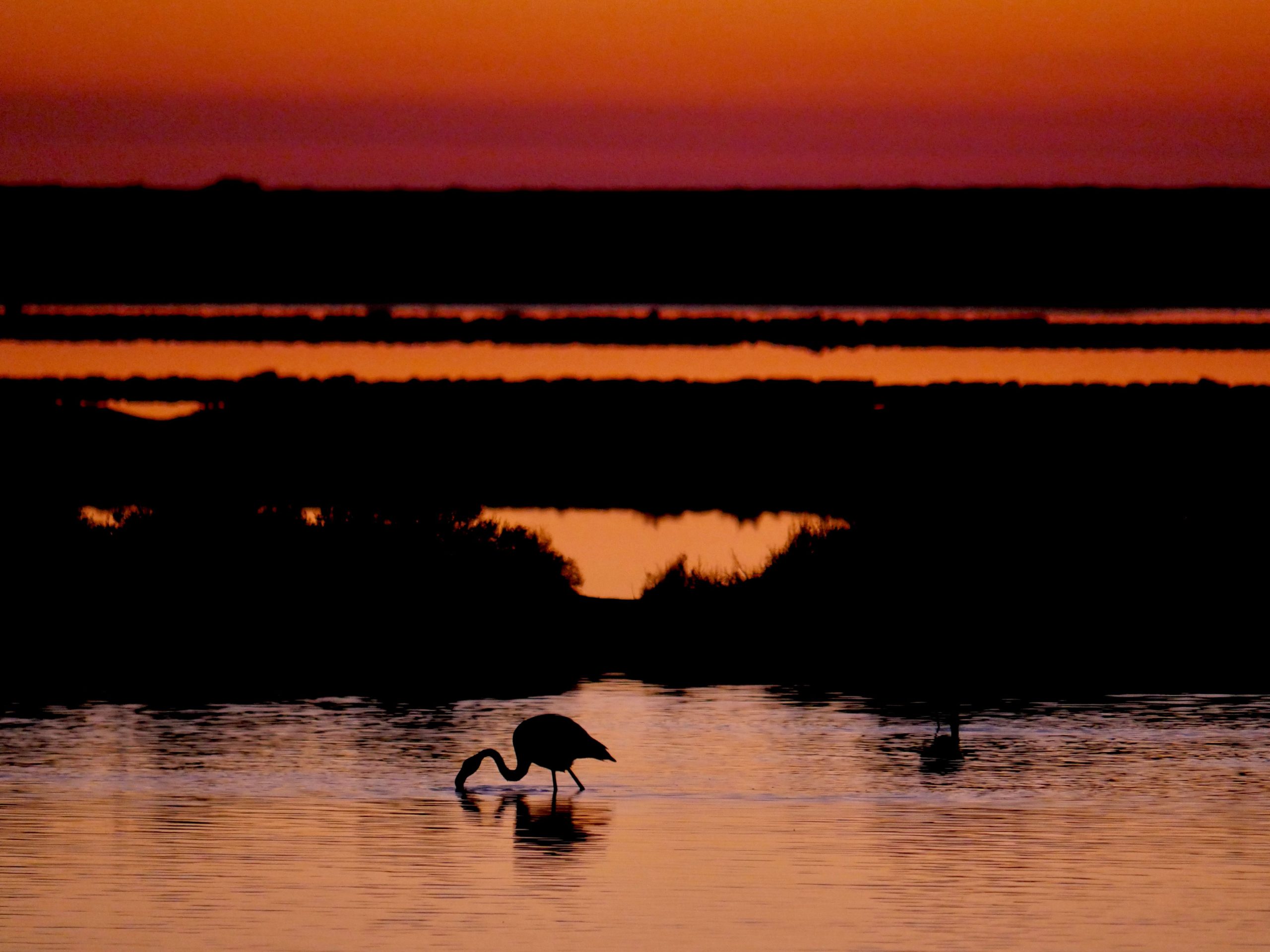 Les 14 plus beaux espaces naturels d'Espagne : paysages sauvages, faune et lieux à découvrir 3 pexels dirk pothen 2149332904 30729426 scaled