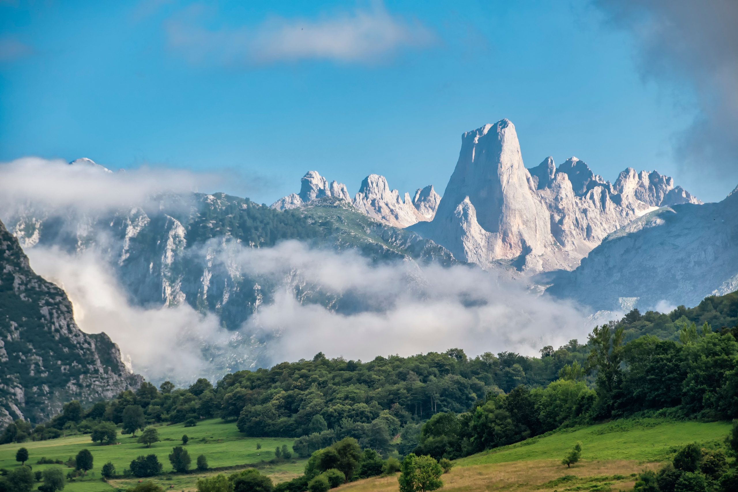 Les 14 plus beaux espaces naturels d'Espagne : paysages sauvages, faune et lieux à découvrir 10 pexels enrique72 8762088 scaled