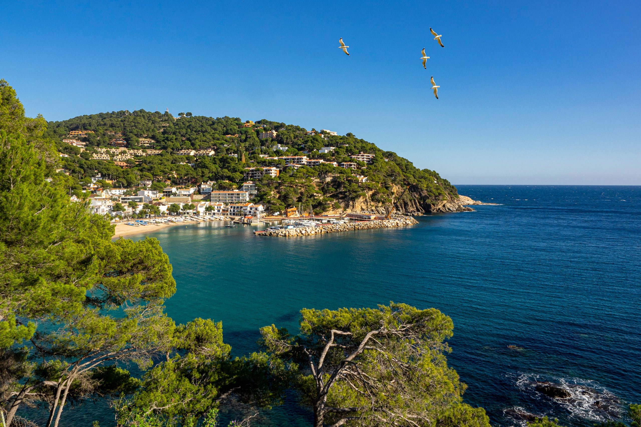 Où vivre en Espagne quand on est Français ? Le grand comparatif des régions 11 pexels matoga 10421085 scaled