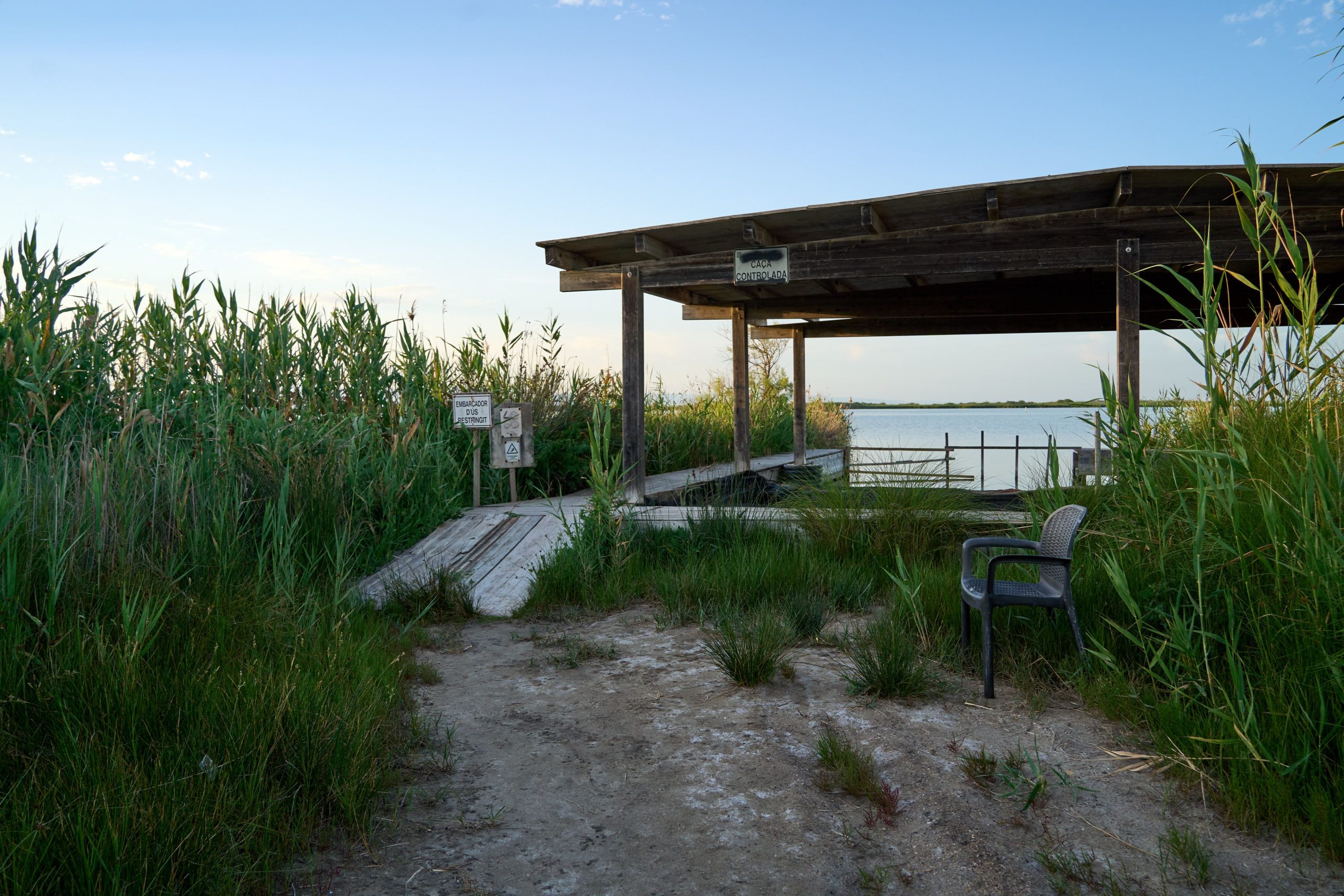 Les 14 plus beaux espaces naturels d'Espagne : paysages sauvages, faune et lieux à découvrir 6 pexels mike art visual creator photography and video 2159421235 38264805 scaled