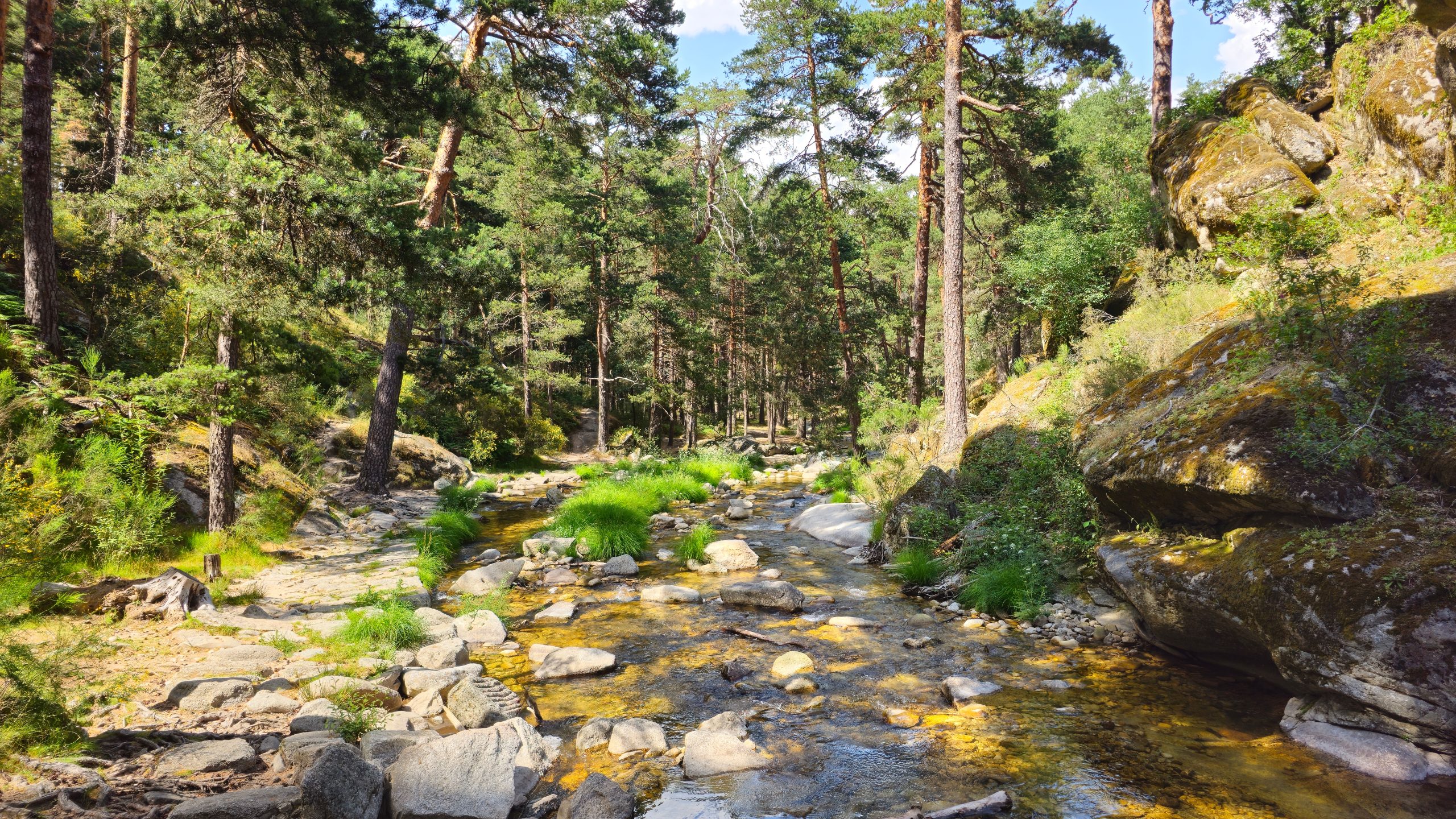 Les 14 plus beaux espaces naturels d'Espagne : paysages sauvages, faune et lieux à découvrir 18 pexels pedro massochin medeiros 2159816609 38250029 scaled