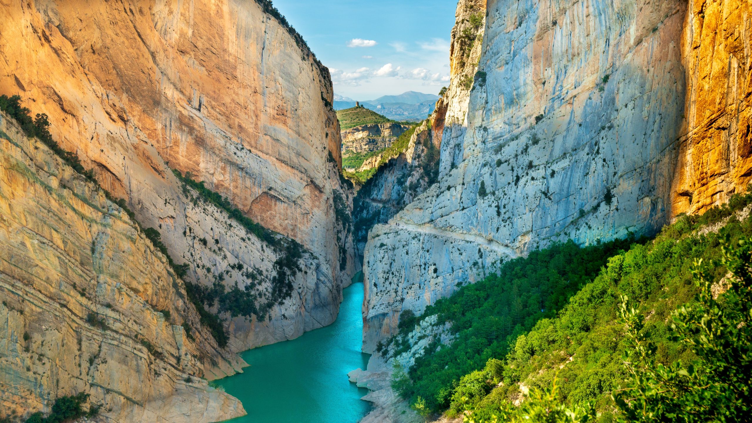 Les 14 plus beaux espaces naturels d'Espagne : paysages sauvages, faune et lieux à découvrir 19 pexels rperucho 5765473 scaled